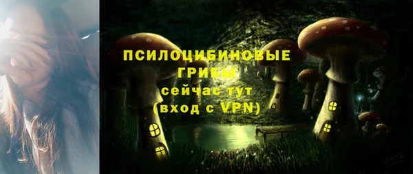 экстази Гусев