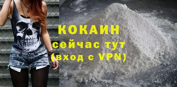 экстази Гусев