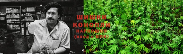 дживик Дмитриев