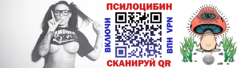Псилоцибиновые грибы GOLDEN TEACHER  darknet состав  Ногинск 